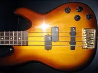 fender1.webp