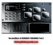 RokBoy Drummz.webp