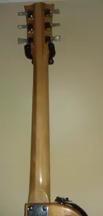Aria Custom Neck back.webp