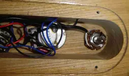 bass innards 002a.webp