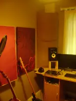 Bass trap left 2.webp