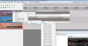 REAPERss3.webp