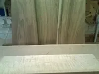 walnut selection2.webp