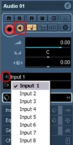channel strip.webp