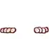 Monkey.webp