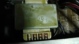 M1110011.webp