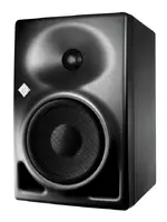 Neumann1.webp