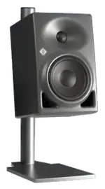 Neumann3.webp