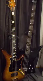 Basses.webp