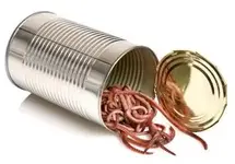 open-a-can-of-worms.webp