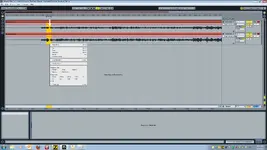 Punch in out Brace.webp