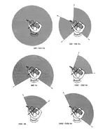 -violin from above reduced.webp