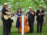 bluegrass.webp