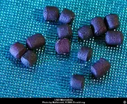 lsd_microdots4.webp