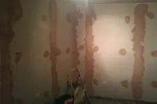 208490_10151362888529541_1152528838_n.webp