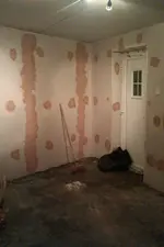 579230_10151362890244541_1080997682_n.webp