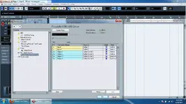 pic1.webp