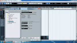 pic2.webp