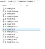 Reaper question.webp