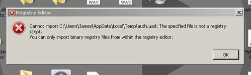 Registry error.webp