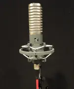 SE R1 RIBBON MIC PIC1 (855x1024).webp