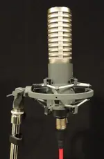 SE R1 RIBBON MIC PIC2 (669x1024).webp