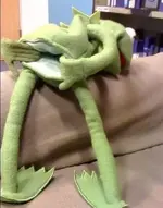 My Frog.webp
