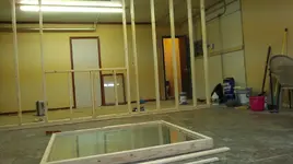 The wall.webp