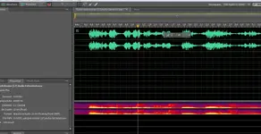 voorbeeld Adobe Audition werkscherm meerdere kanalen.webp
