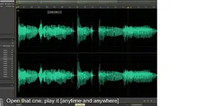 voorbeeld Adobe Audition werkscherm twee kanalen.webp
