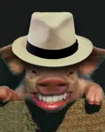 mutts_hat.webp