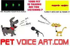 pet voice animated logo with blk & yelow MEEEART h_edited-4.webp