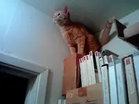 tuggie.webp tuggie.webp