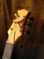 Headstock.webp