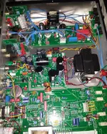guts.webp