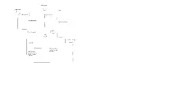 basement.webp