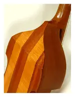 tenor_back_detail.webp