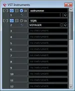VST_Instr.webp