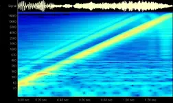 recorded_tetstone.webp