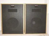 Klipsch pair.webp