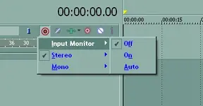 Input Monitoring.webp