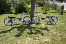 Gangsta Bike Club.webp