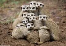 grouphug.webp