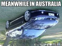 funny-picture-with-captions-australia-01.webp