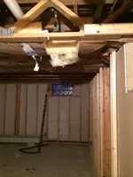 photo2.webp