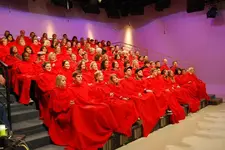 snuggies.webp