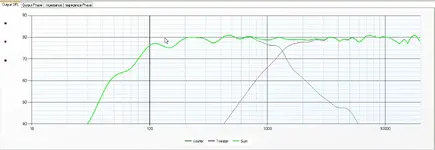 RS DC SIM.webp