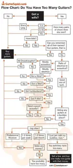 Too Many Guitars.webp