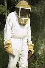 beekeeper.webp