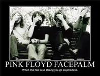 pinkfloydfacepalm.webp